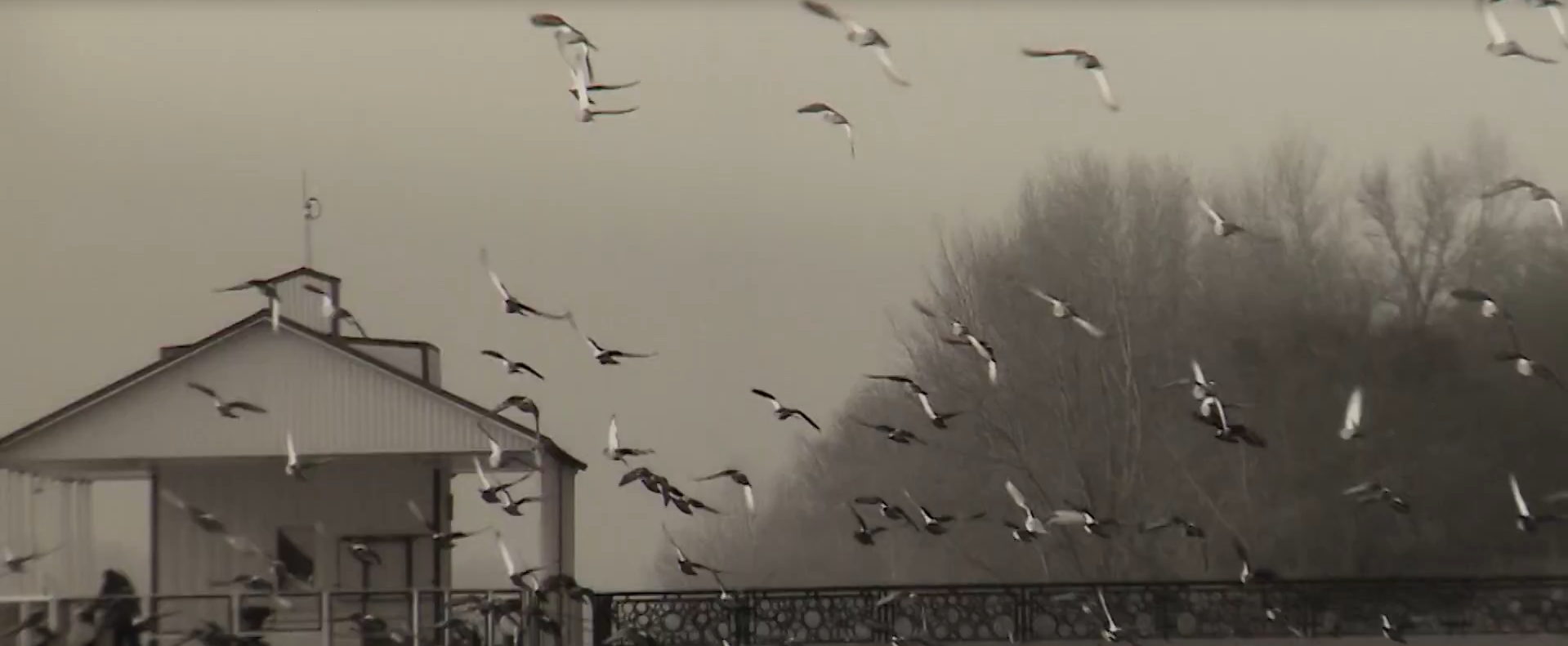 «Вольск-стрит» — так называется проект, который объединил фотоработы жителя Вольска Максима Стегунова