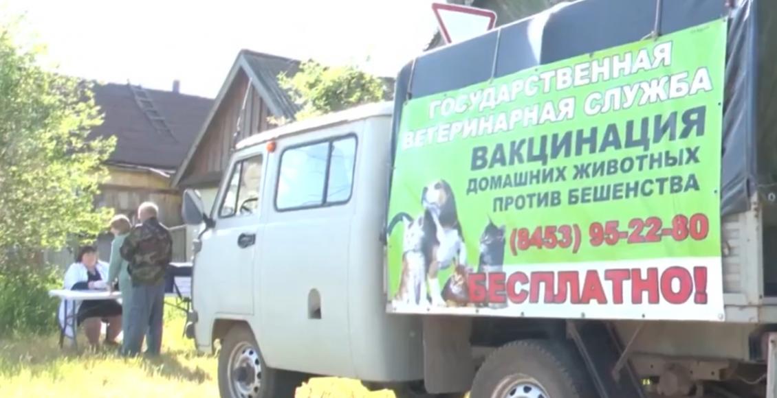 В Саратовской области стартовала бесплатная вакцинация от бешенства, в том числе и в передвижных пунктах