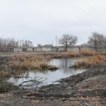Реконструкция сквера Марины Расковой началась с очистки пруда от мусора
