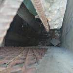 Кошка упала в защитный бетонный короб теплотрассы