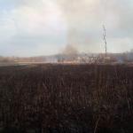 Спасатели и пожарные тушили камыш в Аткарске