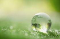 close-up-crystal-globe-resting-grass-forest_1150-12730