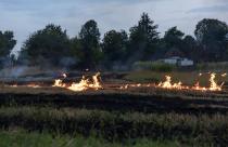 A fire burns in a field with dry grass.