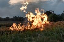 A fire burns in a field with dry grass.