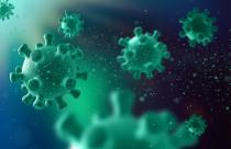 3D medical background with abstract virus cells - corona