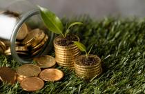 high-angle-of-two-stacks-of-coins-on-grass-with-jar-and-plants