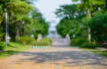 Blurred background : Blur park with bokeh light, natural backgro