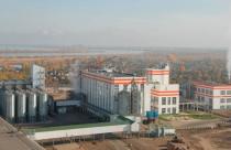 Саратовская область увеличивает мощности по переработке подсолнечника 