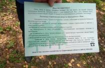В Саратовской области увеличат финансирование на профилактику возгораний в лесах