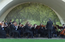 Фестиваль объединит серию летних концертов в парке, где самую разную музыку в исполнении профессионалов сможет послушать любой желающий