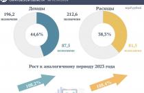 Доходы консолидированного бюджета области выросли на 8%