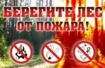 Саратовцы за нарушение противопожарного режима в лесах заплатят 355 тысяч рублей