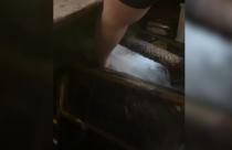 Они больше недели наблюдали у себя в подвале фонтан с человеческий рост