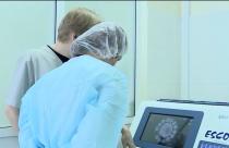 В центре репродукции человека клиники трудится целая команда врачей-специалистов