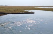 В Краснопартизанском районе завершилась весенняя закачка водоемов