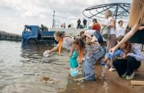 Саратовцы помогли выпустить в Волгу 100 тысяч мальков травоядных рыб