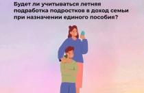 Отделение СФР по Саратовской области напоминает, когда официальный заработок от их трудовой деятельности не учитывается в доходы семьи при назначении единого пособия
