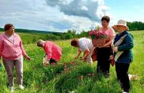 В регионе продолжается доставка на экскурсии подопечных социозащитных учреждений, проживающих в отдаленных районах