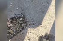 В социальных сетях появилось видео, как в городе Балакове подростки растягивают покрытие, как горячую жвачку