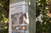 На руинах подъезда дома №2 по улице Блинова, разрушенного взрывом 25 июля, остаются кошки