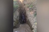 Спасением занималась местная коммунальная служба