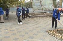 Собрали мусор и опавшую листву