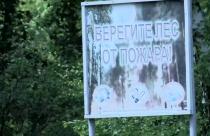 Об этом сообщает пресс-служба регионального министерства природных ресурсов и экологии