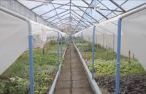 На базе Вавиловского университета состоялось рабочее совещание с участием исполняющего обязанности заместителя главы города по благоустройству Татьяны Рыхловой