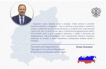 Поздравление полномочного представителя с Днем народного единства 