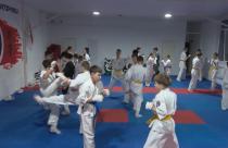 Копилка спортивных наград региона в ноябре пополнилась наградами международного и всероссийского уровня