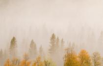 Какую погоду ждать саратовцам на этой неделе?