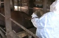 Комментарий начальника Управления ветеринарии Правительства Саратовской области А.А. Балалаева.