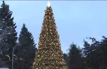 Городской парк не исключение