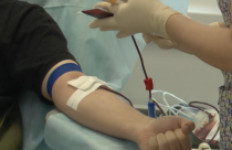 донор кровь