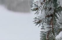 Он начался еще накануне вечером и идет до сих пор