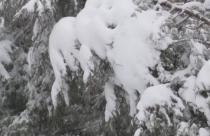 Сколько еще выпадет осадков на этой неделе?