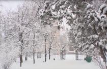 Аналогичные решения приняли администрации Ершовского, Ртищевского, Базарно-Карабулакского и Энгельсского районов