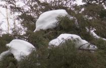 Как говорят народные приметы, на Масленицу зима уступает место весне