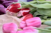 Купить букет для виновниц торжества можно почти по 70 адресам