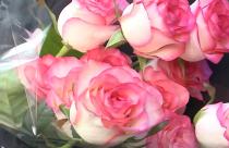 В этот раз ищут не нарушителей, а женщин-водителей и кондукторов общественного транспорта, чтобы поздравить их с наступающим праздником