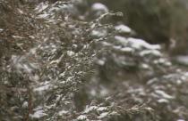 Зима не планирует сдаваться. Снежный сюрприз ждал всех жителей региона сегодняшним утром