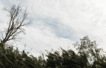 ветер природа погода freepik