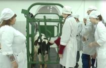 В нашей области таких специалистов чуть больше 2 тысяч человек