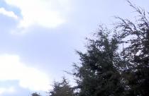 Пока по всей стране бушует стихия, в саратовском регионе относительно спокойно – светит солнце