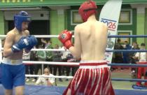 Определены победители чемпионата и первенства ПФО по кикбоксингу