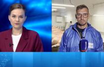 Специалисты Саратовской станции по борьбе с болезнями животных рассказали о том, как контролируют качество продукции, которую реализуют на сельскохозяйственных рынках города и области