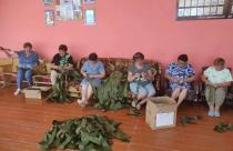 Это не просто объединение людей, а настоящий трудовой фронт, где каждый день совершается маленький подвиг