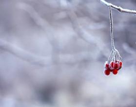 погода зима погода зима