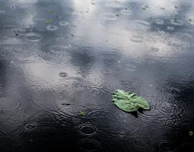 дождь погода фото: freepik.com