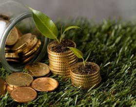 high-angle-of-two-stacks-of-coins-on-grass-with-jar-and-plants